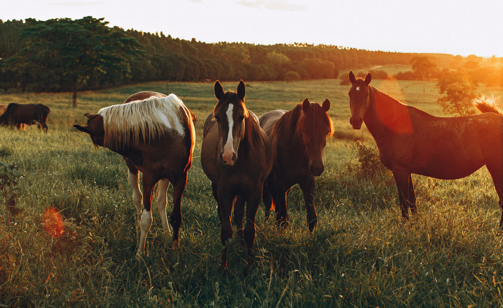 awb_katerberg_sport_reiten
